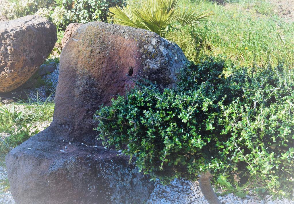 La Ginestra Orosei Exterior foto
