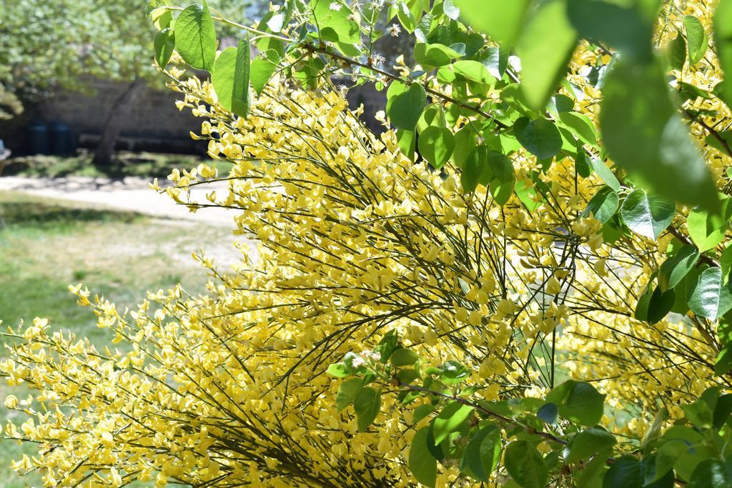 La Ginestra Orosei Exterior foto
